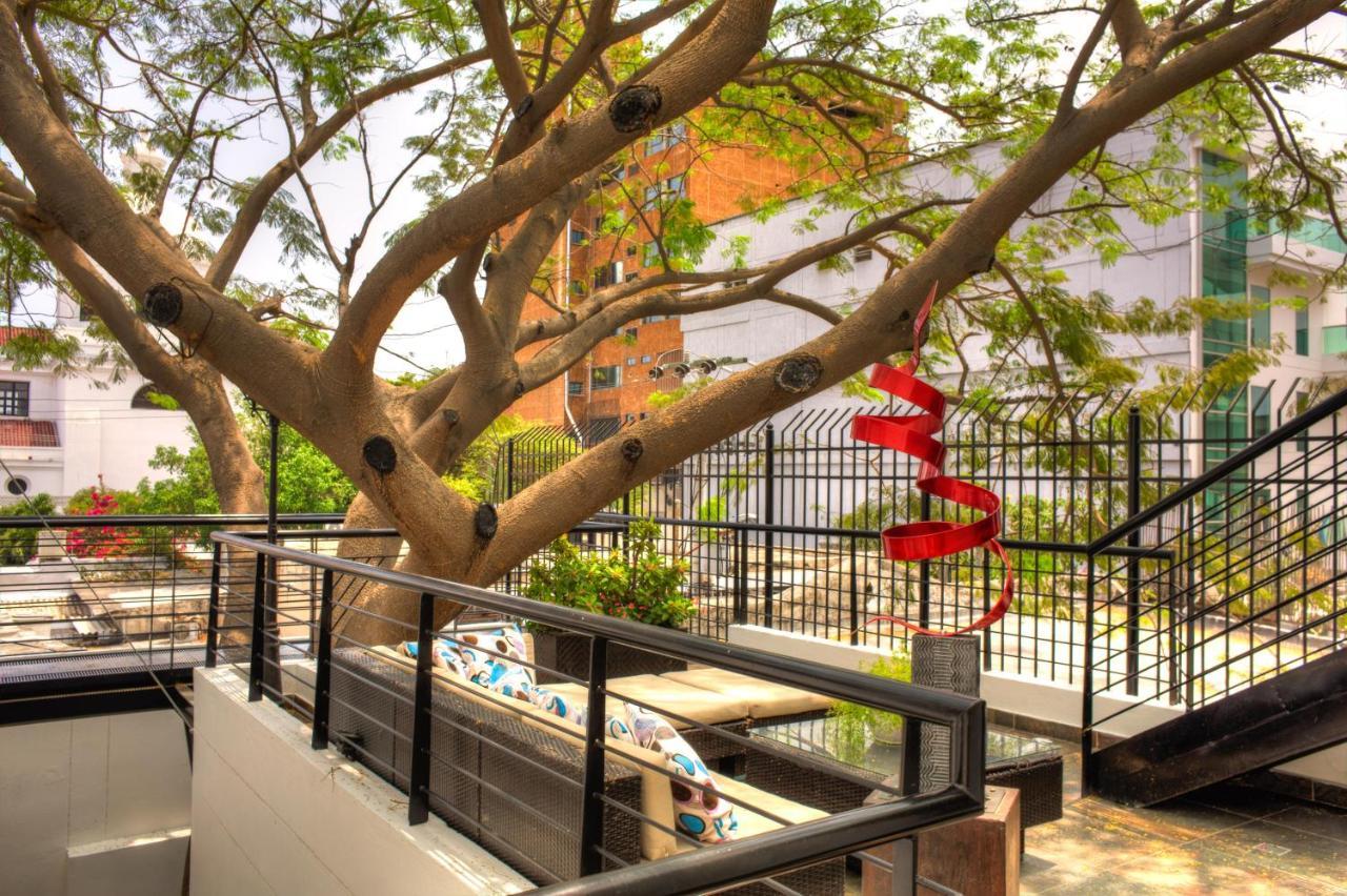 Casa De Leda, A Kali Hotel 산타마르타 외부 사진 The tree at the center of the courtyard
