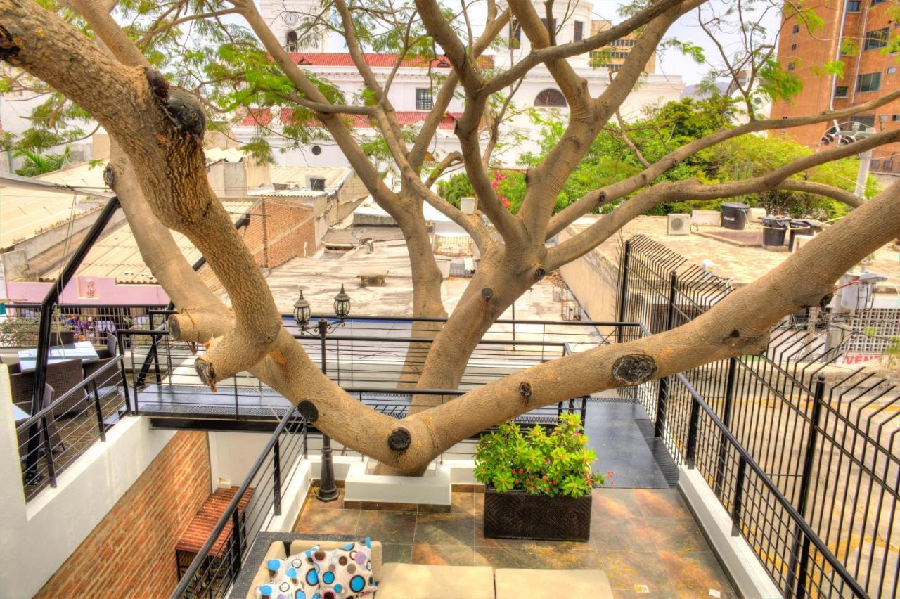 Casa De Leda, A Kali Hotel 산타마르타 외부 사진 The tree in 2019