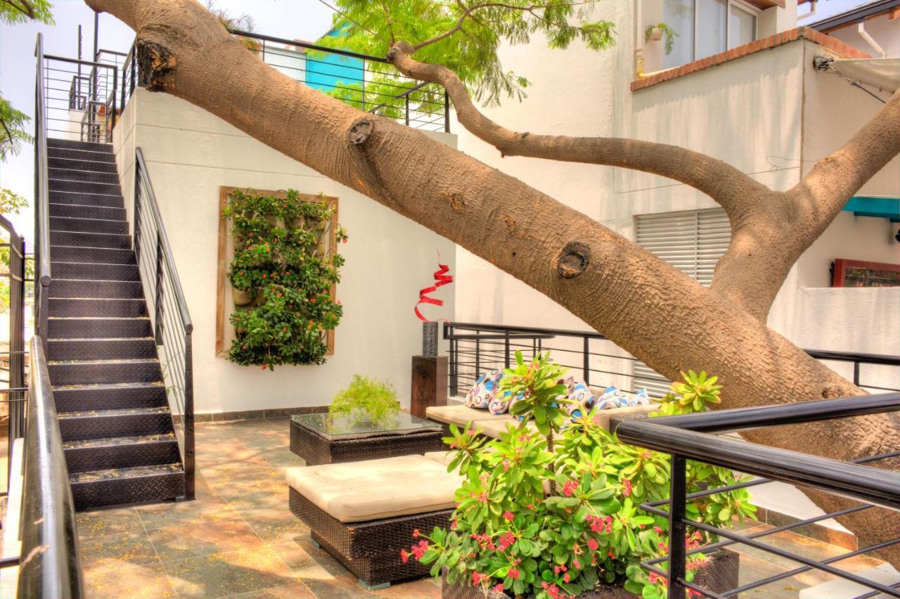 Casa De Leda, A Kali Hotel 산타마르타 외부 사진 The courtyard of the school